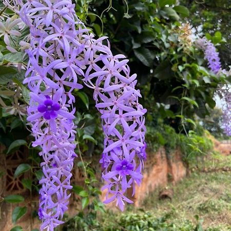 Отель Mama Pierina Restaurant And Annex Morogoro Экстерьер фото